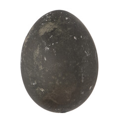 Black egg isolated