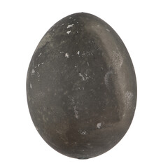 Black egg isolated
