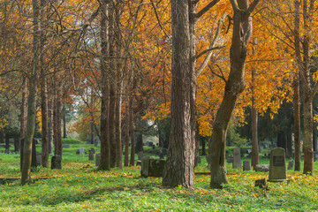 Old finnish cemetery at autumn day.