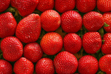 Strawberry box. Strawberry harvest. Red strawberries in a wooden box .summer berries