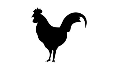 Fototapeta na wymiar black chicken vector