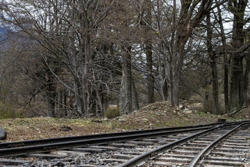 railway in the forest