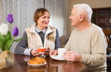 Portrait of senior couple drinking tea together at living room.