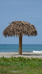 Thatched shelter on the beach in Canoa, Ecuador