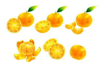Fotobehang みかんの果実のセットイラスト　フルーツの手描き水彩イラスト素材集 © 一色いっさ