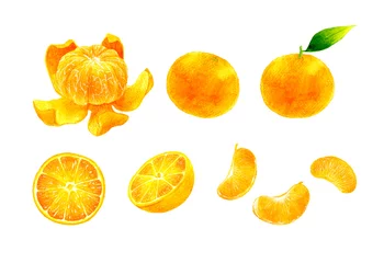Foto auf Leinwand みかんの果実のセットイラスト　フルーツの手描き水彩イラスト素材集 © 一色いっさ