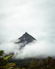 mountain covered with clouds in mist with vegetation at the base