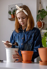 Teenage girl in denim overalls pours earth into clay pot. Indoor ficus. Montessori education.