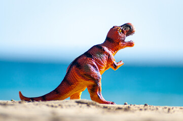 starfish on the beach
