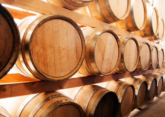 wine barrels in cellar