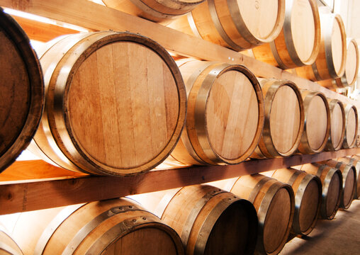 Wine Barrels In Cellar