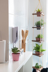 Open kitchen decor with plants in the background