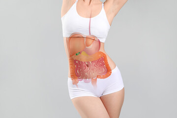 Young woman with drawn digestive system on light background - obrazy, fototapety, plakaty