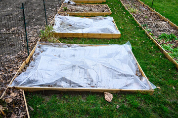 Winterized kitchen garden, raised planting bed covered with clear plastic for weed prevention
