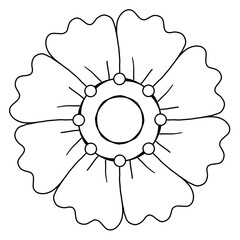 Sketch line drawing  flower  isolated illustration on white background