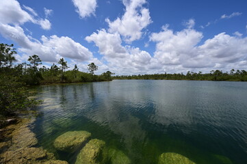 Submerged boulders along shore of Pine Glades Lake in Everglades National Park, Florida clearly visible in lake's clear green water under beautiful April cloudscape.