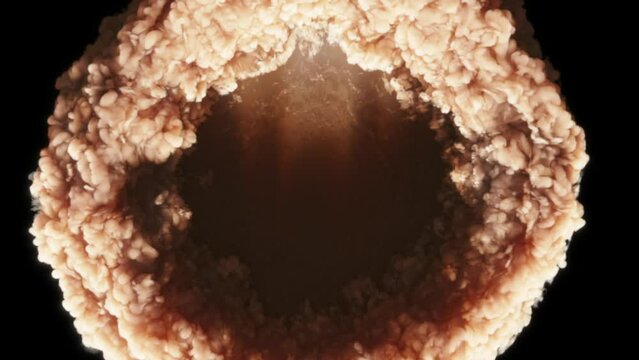 A cloud of smoke explodes and forms a swirling smoke circle on a black background. Detailed shooting of the blast wave.