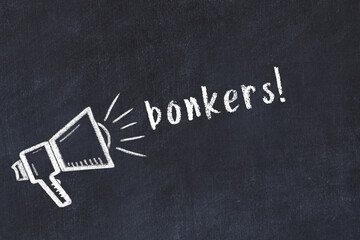 Chalk sketch of loudspeaker and inscription bonkers