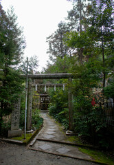 Fototapeta na wymiar shrines in kyoto city.