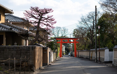 shrines in kyoto city.