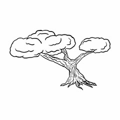 simple bonsai tree doodle hand drawn outline vector icon illustration for children coloring book