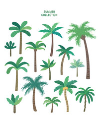 Summer sets collection. Vector illustration of summer symbols
 - obrazy, fototapety, plakaty