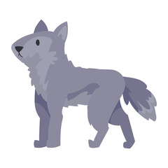 wolf cute animal kid
