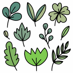 vector leaf natural green plants
