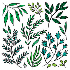 vector leaf natural green plants