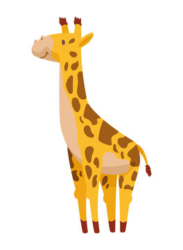 cute giraffe animal kid