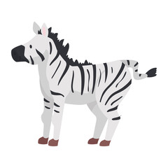 zebra cute animal kid