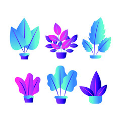 Collection of bright isolated plants in pots. Colorful flat illustration.