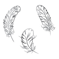 Collection of isolated feathers, stencil, tattoo. Black and white flat illustration.