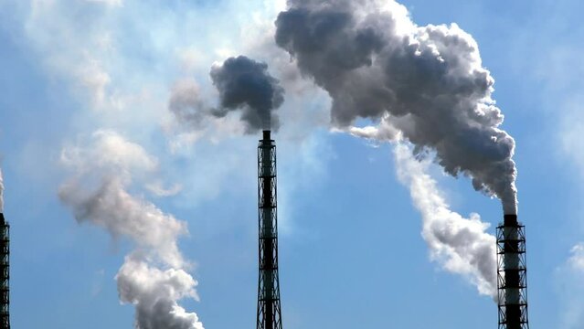 Industrial pipes smoke into the blue sky. The pipes of the plant pollute the ozone layer with smoke. 