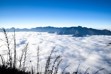 amazing scene on the top of the mountain