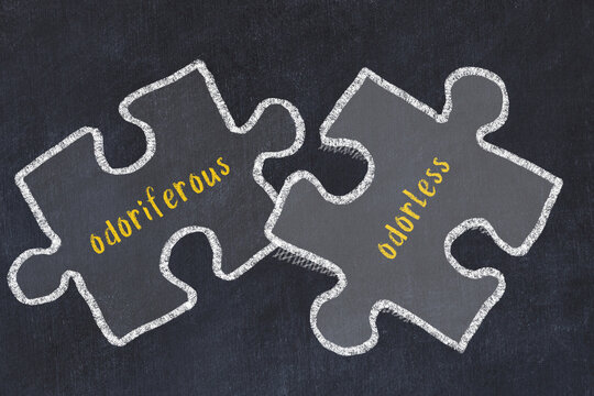 Chalk drawing of two puzzles with words odoriferous and odorless
