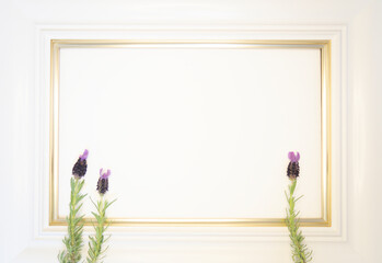 ラベンダー 白いフレーム