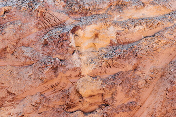 Soil on the ground as texture and background.