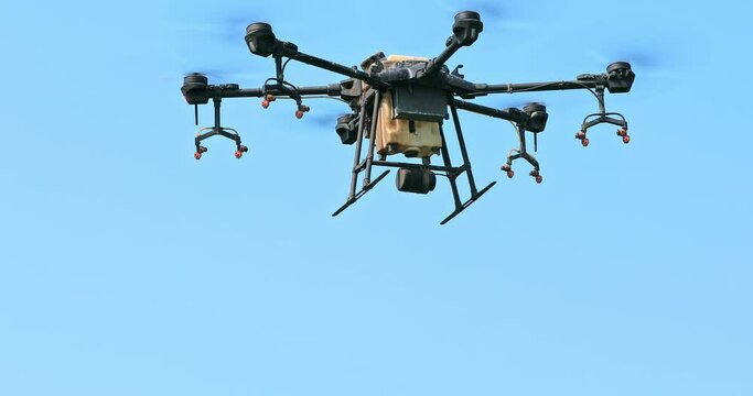 Agricultural drone spraying pesticides. Drones are used in agriculture. 4k real time footage.