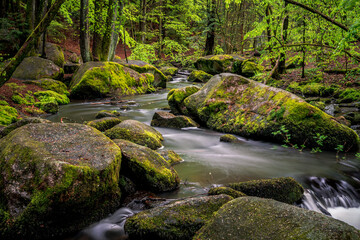 Naklejka na ściany i meble Green Waterfall River Rocks Covered With Green Moss Forest Waterfall. forest with a waterfall. Quiet and pleasant environment for tourism. Forest area with watercourse in Bavaria Germany
