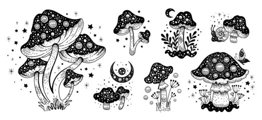 Mushroom vector set. Magic illustration of fly agaric. Celestial forest outline drawing. Mushroom, toadstool clipart graphic. Mystic black line fly agaric. Doodle boho mystic tattoo amanita collection