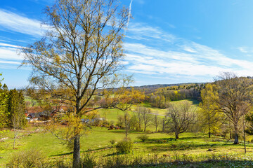 Obraz premium Rural landscape view in spring greenery