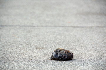 Dog poop on a pile of footpaths