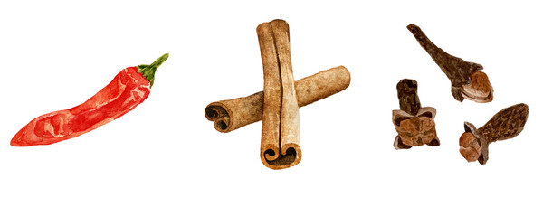 Watercolor fresh kitchen spices: pepper, chili, cinnamon