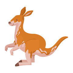 cute kangaroo animal kid