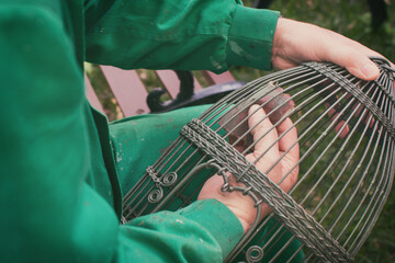 Bird Breeder Making Wire Cages By Hand For His Partridges. Craftsman Doing His Work By Hand.