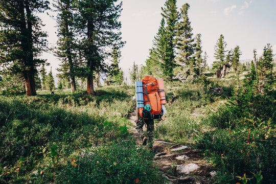 Man hiker on summer day and with big heavy hiking backpack full of travel staff. Travel Lifestyle concept adventure summer vacations outdoor wild landscape on background. 