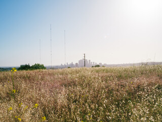 View of Mountains, Hills, Grass, and the City in Los Angeles