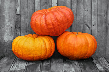 Three ripe pumpkins on a wooden background. Collection of vegetables in the fall..
