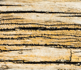 Natural wood surface texture for background.